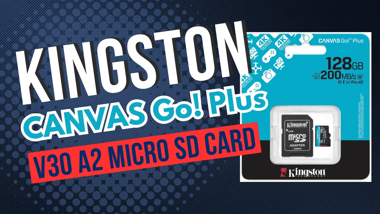 Kingston Canvas Go Pro Micro SD Card